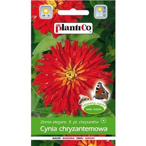 Cynia Chryzantemowa Czerwona 1g Plantico