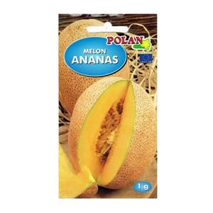 Melon Ananas 1G Standard Polan