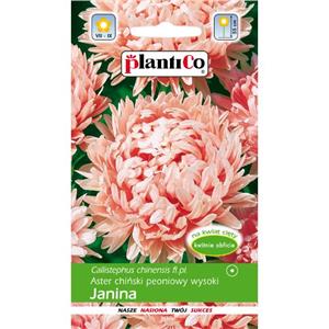 Aster Peoniowy Janina 1g Plantico