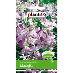 Maciejka 5g Standard Plantico