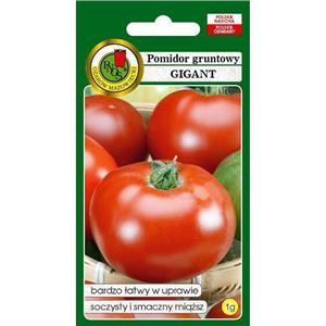 Pomidor Gruntowy Gigant 1G Standard PNOS
