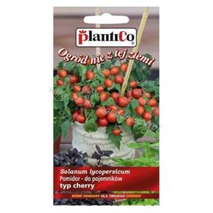 Pomidor Gruntowy Vilma 0,2G Standard Plantico