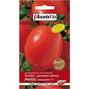 Pomidor Gruntowy Awizo F1 10G Standard Plantico