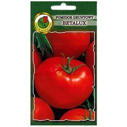 Pomidor Gruntowy Betalux 1G Standard PNOS