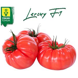 Pomidor Leroxy 100nas. Standard