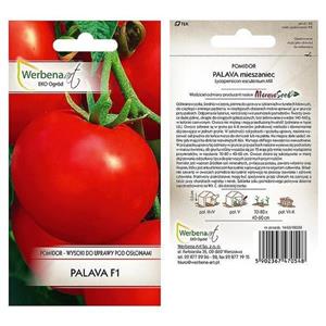 Pomidor Palava F1 0,1G Standard Werbena