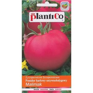 Pomidor Gruntowy Malinowy Maliniak 10G Standard Plantico