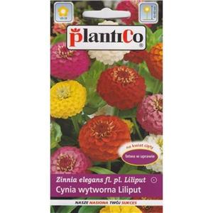 Cynia Daliowa Liliput 1g Plantico