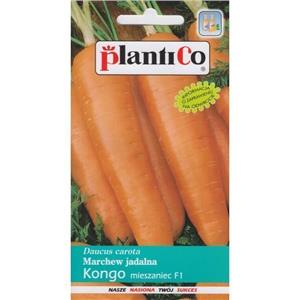 Marchew Kongo F1 5G Standard Plantico