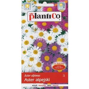 Aster Alpejski 0,3g  Plantico