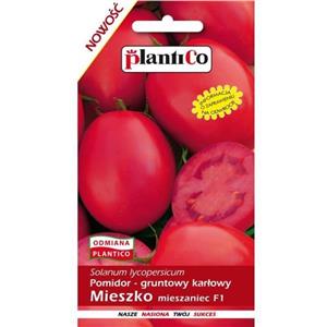 Pomidor Gruntowy Mieszko F1 10G Standard Plantico