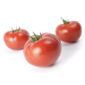 Pomidor Tunelowy Mahitos F1 100 nas. Standard