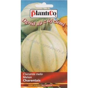 Melon Charentais 1G Standard Plantico