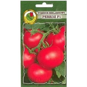 Pomidor Pod Osłony Perkoz F1 1g Standard PNOS
