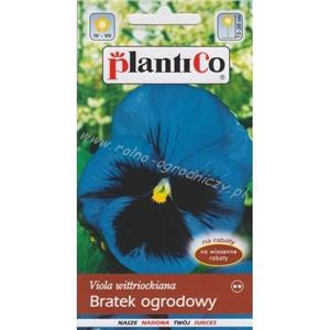 Bratek Ogrodowy Niebieski 0,5g Plantico