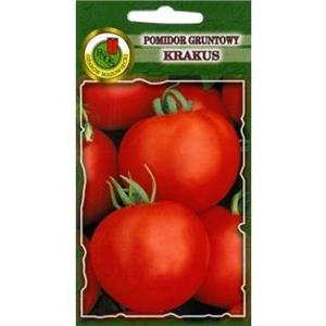 Pomidor Gruntowy Krakus 1g PNOS
