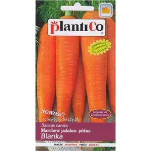 Marchew Blanka 5G Standard Plantico
