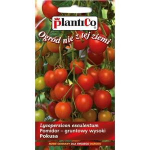Pomidor Gruntowy Pokusa 0,5G Standard Plantico