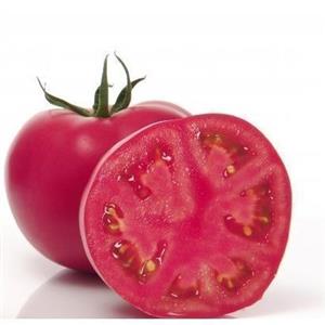 Pomidor Malinowy Pink Impression F1 100 Nasion Sakata