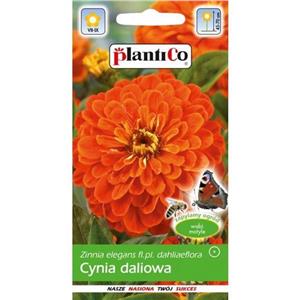 Cynia Daliowa Cynobrowa 1g Plantico
