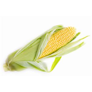 Kukurydza Kosmal C1 FAO 260 50 tyś. nasion