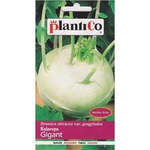 Kalarepa Gigant 2G Standard Plantico 