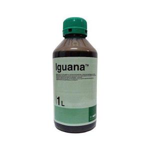 Iguana 1L  