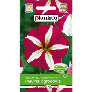 Petunia Ogrodowa Biało - Czerwona 0,05g Plantico