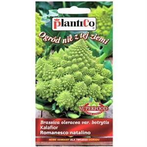 Kalafior Romanesco Natalino 0,2G Standard Plantico