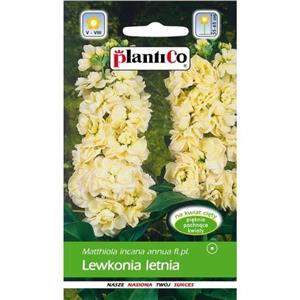 Lewkonia Letnia Kremowo-Żółta Dora-Vars 0,5g Standrd Plantico