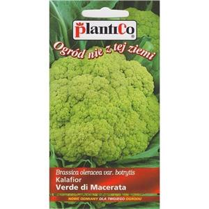 Kalafior Verde di Macerata 0,2g Standard Plantico
