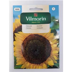 Słonecznik Ogrodowy 20g Standard Vilmorin
