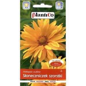 Słonecznik Szorstki 1g Plantico