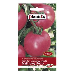 Pomidor Gruntowy Malinowy Retro 10g Standard Plantico