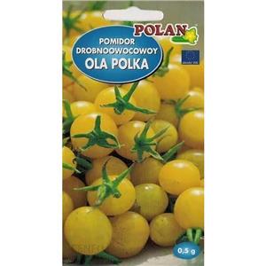 Pomidor Gruntowy Ola Polka 0,5g Standard Polan