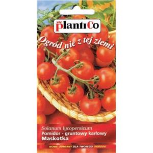 Pomidor Gruntowy Maskotka 0,5G Standard Plantico