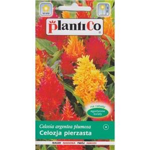 Celozja Pierzasta 0,5g Standard Plantico
