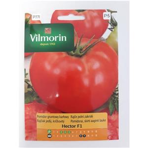 Pomidor Gruntowy i Pod Osłony Hector F1 0,1g Standard Vilmorin