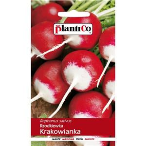 Rzodkiewka Krakowianka 10G Standard Plantico