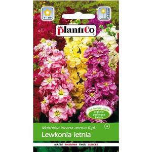 Lewkonia Letnia Mieszanka 0,5g Plantico
