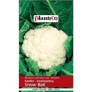 Kalafior Snowball X 1G Standard Plantico