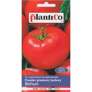 Pomidor Gruntowy Bohun 1G Standard Plantico
