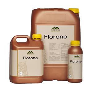 Florone 5L