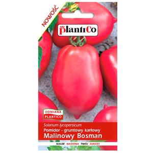Pomidor Gruntowy Malinowy Bosman 0,5g Standard Plantico