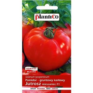 Pomidor Gruntowy Jutrosz F1 0,5g Standard Plantico