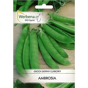 Groch Siewny Cukrowy Ambrosia 30G Standard Werbena