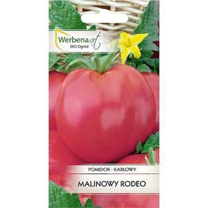Pomidor Malinowy Rodeo 0,2G Standard Werbena