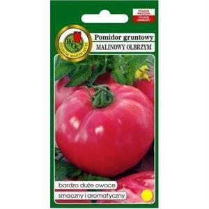 Pomidor Gruntowy Malinowy Olbrzym 10g Standard PNOS