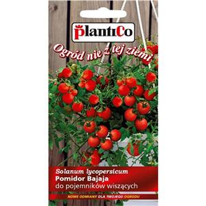 Pomidor Gruntowy Bajaja 0,2g Standard Plantico