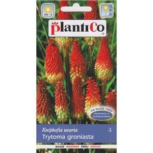 Trytoma Groniasta 0,2g Plantico